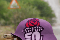 Hadopi : le Parti Socialiste devra avoir la carapace dure