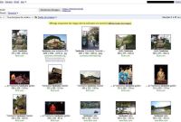 Google Images se dote d'un filtre à licences