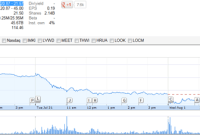 Facebook décroche en bourse