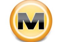 MegaUpload : un usager obtient une audience pour récupérer ses fichiers