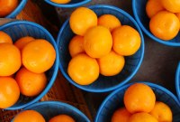 Orange ferme les mails @voila.fr : un scandale qui n'a vraiment pas lieu d'être