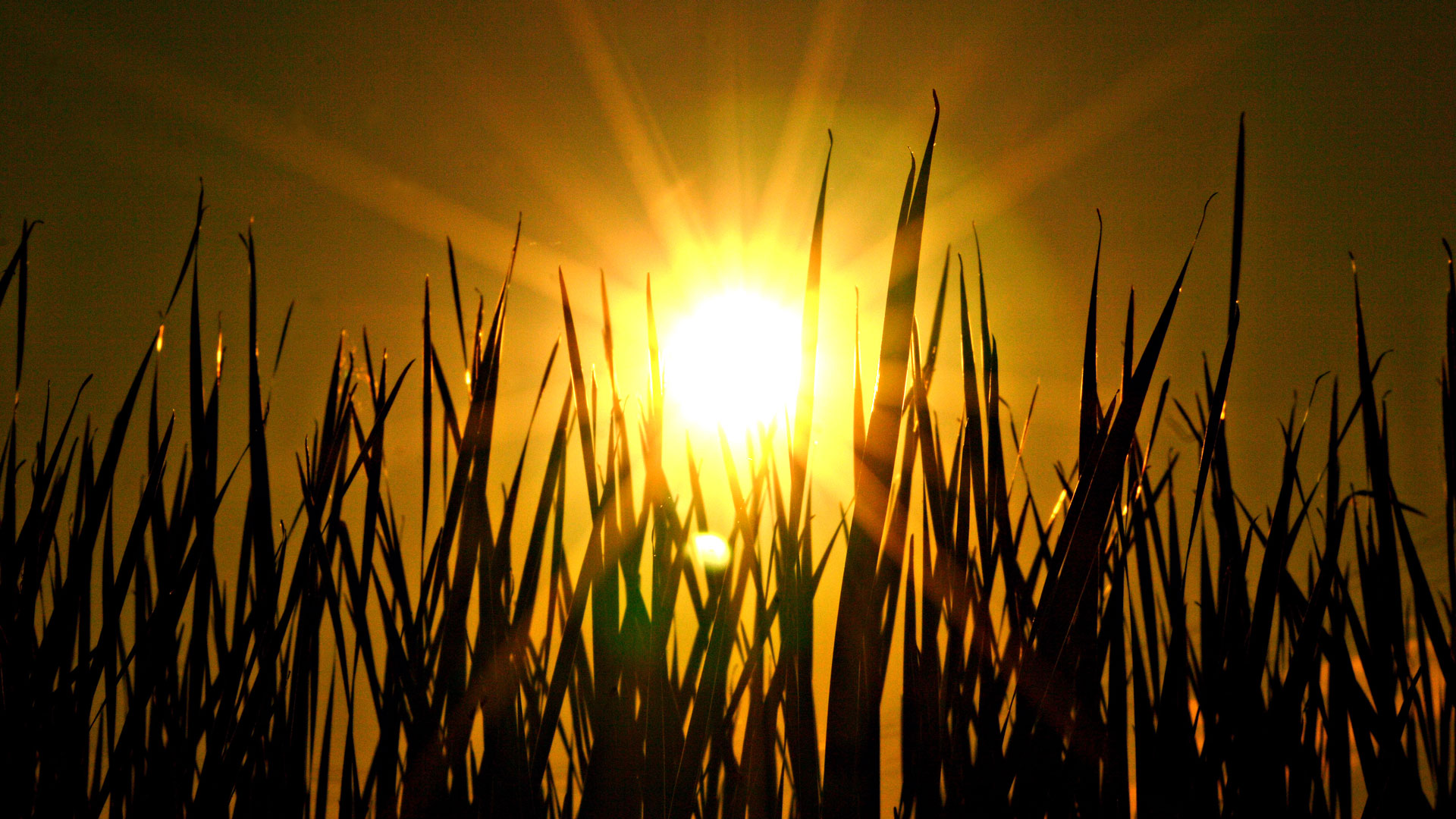 MWC 2016: the French Sunpartner has a solution for the autonomy of smartwatches