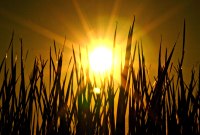  MWC 2016: the French Sunpartner has a solution for the autonomy of smartwatches 