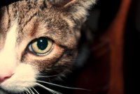 Nothing to hide : savez-vous vraiment ce que vous avez laissé en public sur...