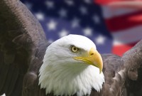 En cas de conflit avec les USA, vous pouvez perdre l'accès à vos jeux...