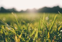 Les gestes simples pour réduire son empreinte écologique numérique, de la boîte mail au...