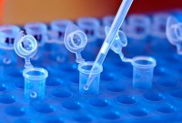 Le biologiste chinois qui a édité l'ADN de deux bébés est placé en résidence...