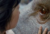 Okja, Orange is the New Black, Glow : quelles nouveautés sur Netflix en juin 2017 ?