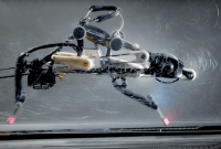Ce robot bipède inspiré de l'autruche court plus vite que les humains