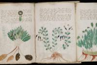 Non, une intelligence artificielle n'a pas déchiffré l'énigmatique manuscrit de Voynich