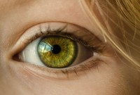 Prédire les maladies du cœur en regardant vos yeux, le défi de cet algorithme...