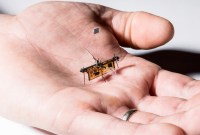 RoboFly est le premier robot insecte à voler sans être relié à un fil