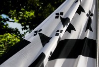 Les Bretons lancent une pétition pour avoir leur drapeau en emoji