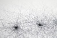 Les effets des algorithmes sur la concurrence préoccupent en France et en Allemagne