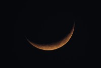 La Chine a fait pousser du coton sur la Lune, mais le froid a...