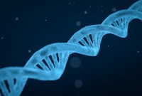 Premiers « Bébés CRISPR » : un essai clinique chinois tente de modifier génétiquement...