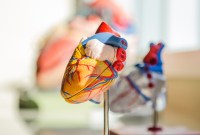 Fête de la Science 2019 : les événements à ne pas manquer dans toute...