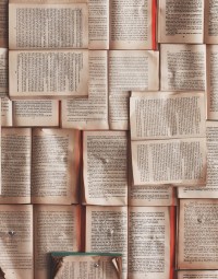 Fictions, documentaires, enquêtes : quelques livres à mettre au pied du sapin