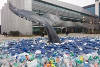 Pollution des océans : une baleine a agonisé avec 40 kilos de plastique dans...