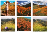 Habile : le WWF a inventé une fausse géolocalisation Instagram pour protéger des sites...