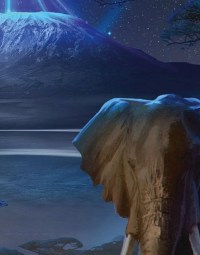 À lire cet été : 4 romans de science-fiction dans une Afrique du futur prospère ou impitoyable