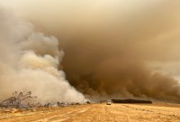 Changement climatique : les incendies en Australie vont dégrader l'écosystème pour toujours
