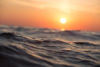 Le réchauffement des océans atteint un nouveau record : la biodiversité n'a pas le...