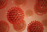 Le coronavirus mute très peu et c'est une excellente nouvelle pour un futur vaccin