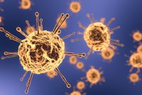 Pourquoi le coronavirus se propage-t-il si vite ? Sa protéine peut offrir une réponse