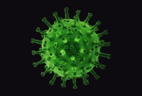 Le coronavirus déjà présent en Europe en mars 2019 ? Prudence avec cette étude