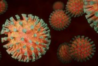 Le coronavirus utilise un camouflage pour tromper notre organisme