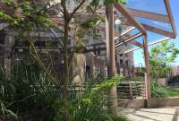 Voyage au pays de la tech #3 : Cupertino, Apple-City, au royaume du fruit...