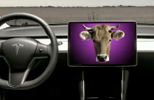Tesla annonce que sa Model 3 n'a plus de cuir d'origine animale