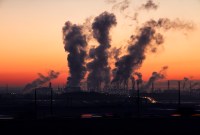 Vos descendants pourraient souffrir de l'impact de la pollution sur votre organisme