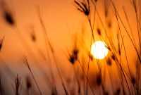 Solstice d'été 2021 : pourquoi l'été ne tombe-t-il pas toujours le 21 juin ?