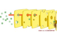Covid-19 : le « modèle emmental » montre aussi pourquoi la désinformation est si grave