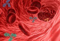 Le vaccin contre la malaria est efficace à 70 % pour éviter les décès...