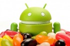 Samsung publie la liste des terminaux qui seront mis à jour vers Jelly Bean