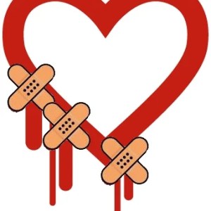 Heartbleed : la faille d’OpenSSL, son problème, ses solutions