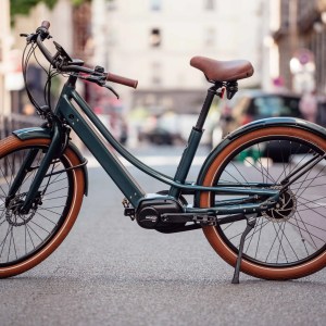 Test du vélo électrique Reine Bike : un canapé sur roues