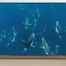 La bonne affaire du jour, c’est ce TV 4K QLED immense de 85 pouces et 144 Hz à moins de 1 000 € 