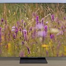 À peine sorti, le TCL C89K est l’un des TV 4K Mini LED les plus aboutis du marché et coûte déjà 600 € de moins