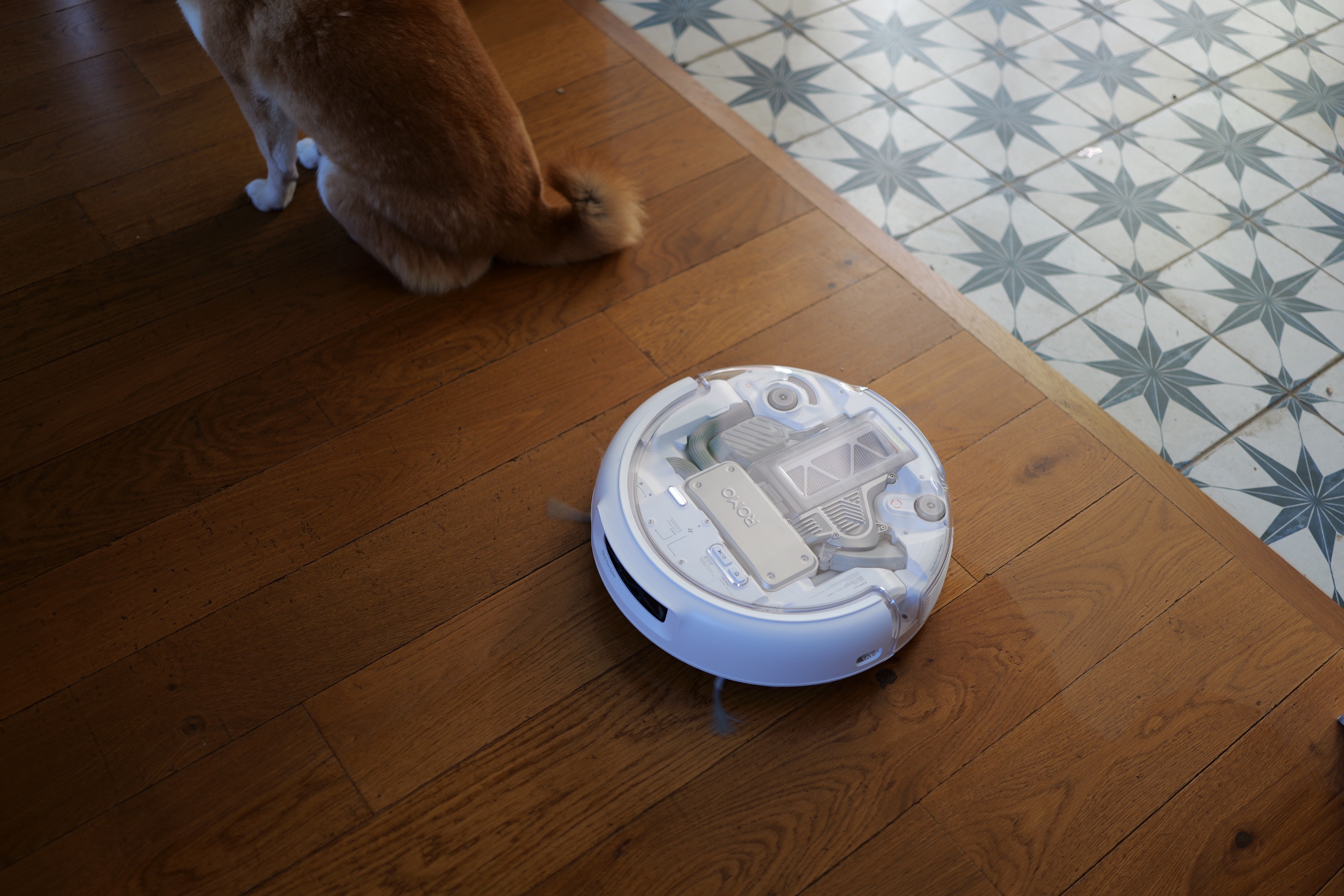 Test du DJI Romo P : le maître du ciel s’attaque au sol