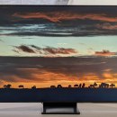 Amazon brade ce géant TV Samsung Mini LED et 144 Hz de 65 pouces : le moment parfait pour changer de TV ?