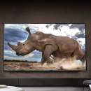 Envie d&rsquo;équiper une pièce en TV ? Ce LG de 43&Prime; LED compatible 4K et HDR est à son meilleur prix