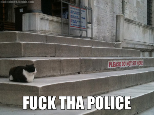 tumblr_lk1kw1dniE1qzmopno1_500 Les trouvailles d’Internet pour bien commencer la semaine #25