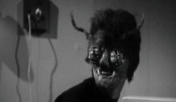 The Wasp Woman