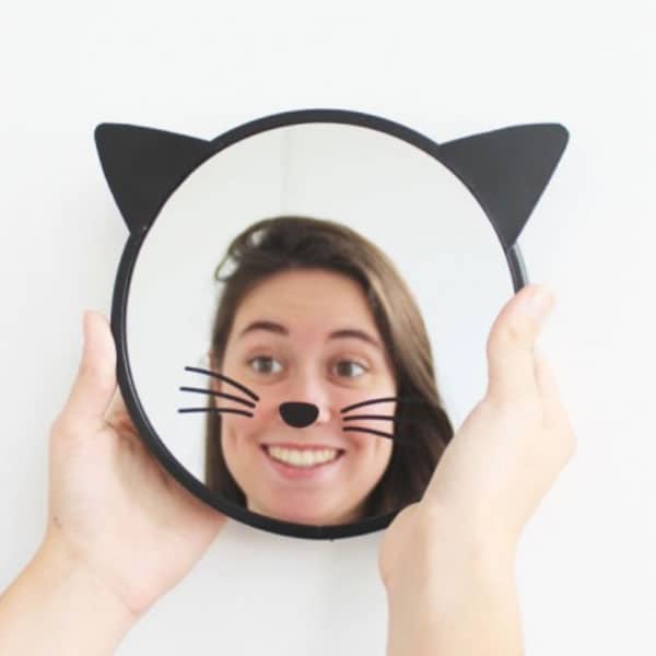 miroir chat
