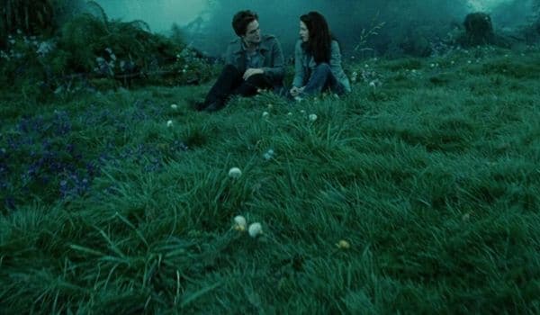 Es-tu vraiment incollable sur Twilight : Fascination (chapitre 1) ?
