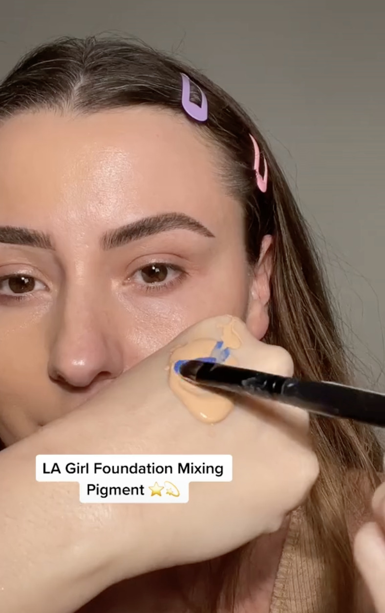 Cliquez ici pour voir le TikTok